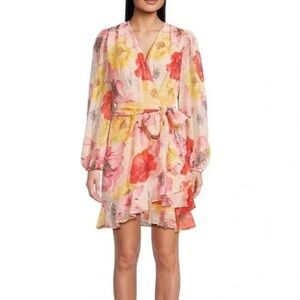 NWT Alex Marie Floral Long Sleeve Dress - size 4